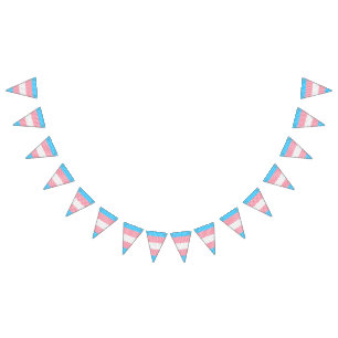 Funky Boho Stripe Abstract Transgender Pride Flag