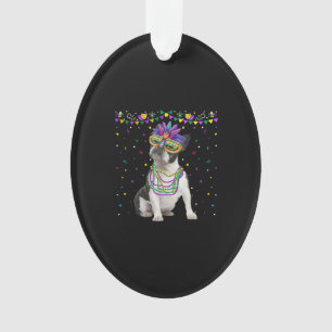 Funky Boston Terrier portant le Masque de Carnaval