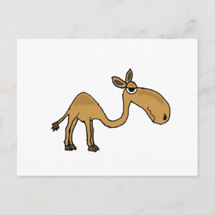 Funky Camel Cartoon Postcard