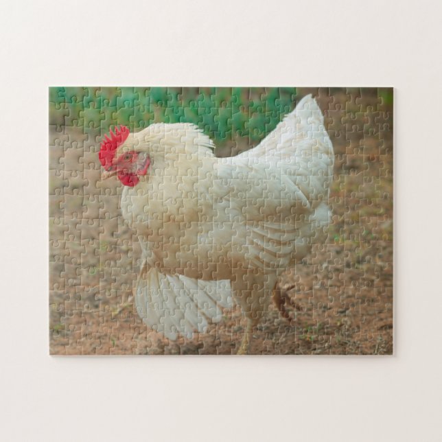 Funky Chicken Hen Hy-Line Silver Brown Jigsaw Puzzle (Horizontal)