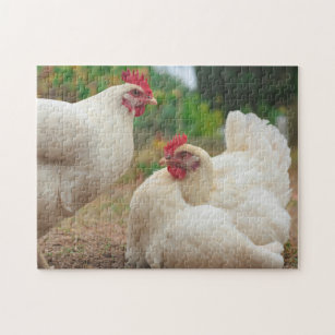 Funky Chicken Hen Hy-Line Silver Brown Jigsaw Puzzle