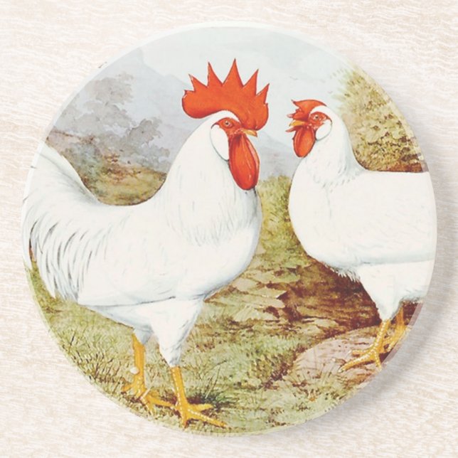 Funky Chickens Sandstone Coaster (Front)
