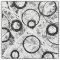 Funky Circle Fabric in Black and White