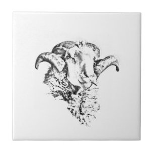 Funky Cute Merino Sheep Ram Head Sketch Tile