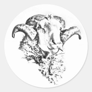 Funky Cute Sheep Ram Head Sketch Classic Round Sticker