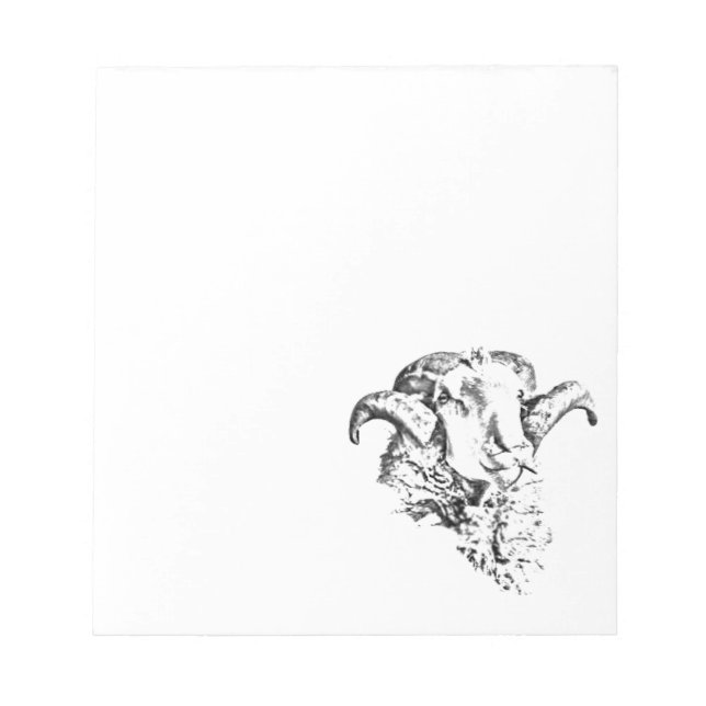 Funky Cute Sheep Ram Notepad (Front)