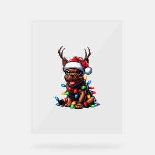 Funky French Bulldog Christmas Light Santa Hat Rei