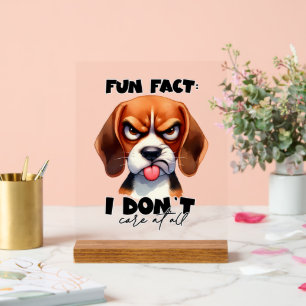 Funky fun fact care mot art chien