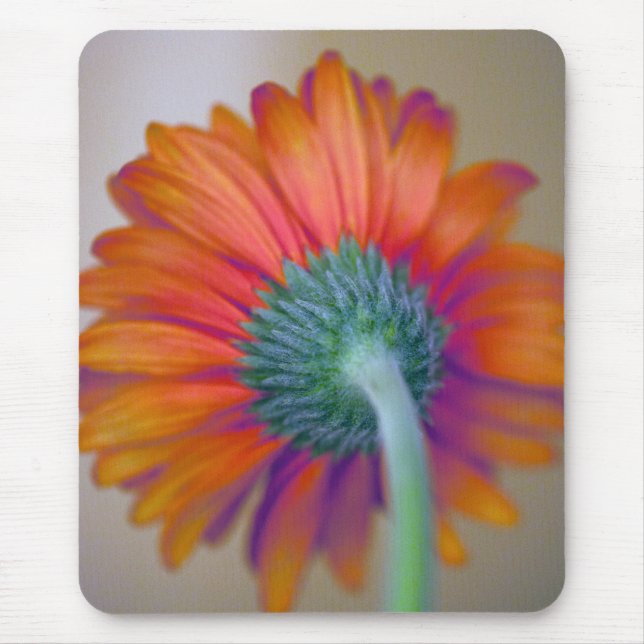 Funky Gerbera Mouse Pad (Front)