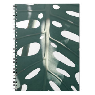 Funky Pale Green Swiss Cheese Plant Notebook