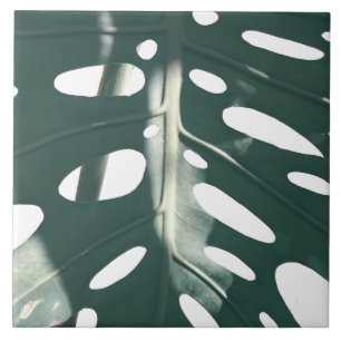 Funky Pale Green Swiss Cheese Plant Tile