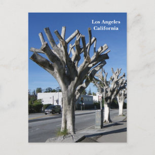 Funky Tree Los Angeles Postcard! Postcard