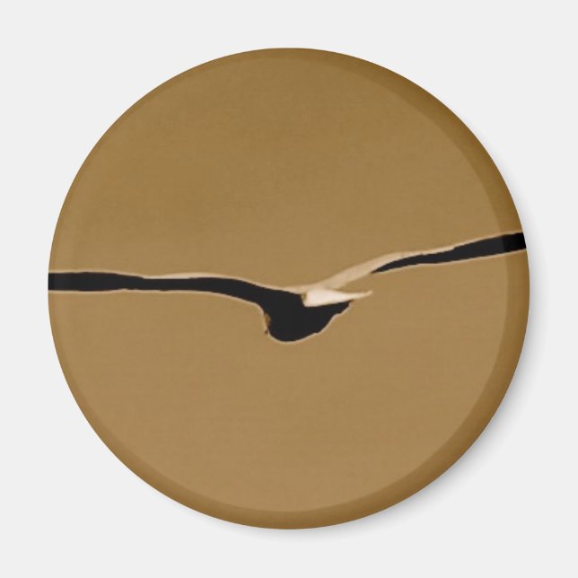 Funky Wings Magnet (Front)