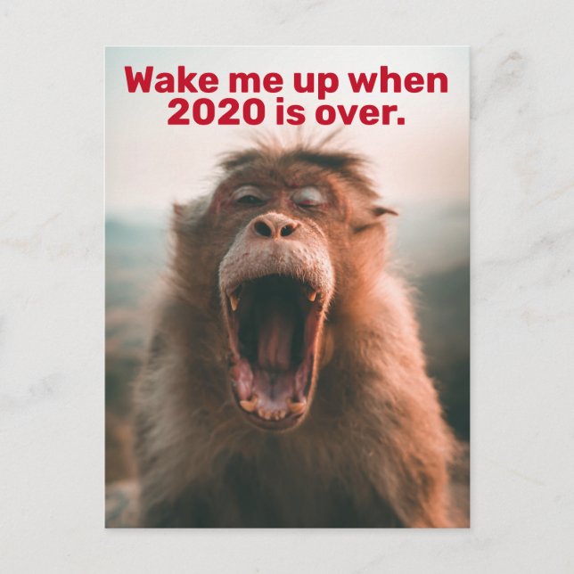 Funny 2020 Quarantine- Wake Me Up When It's Over Postcard (Front)
