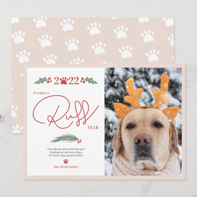 Funny 2022 ruff script year pet Christmas photo Holiday Card (Front/Back)
