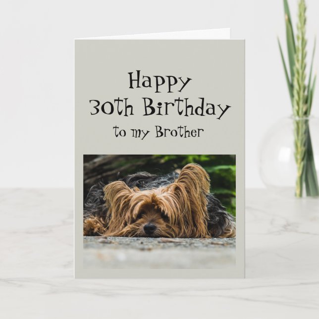Funny 30th Birthday Brother Cute Dog Animal Card (Front)
