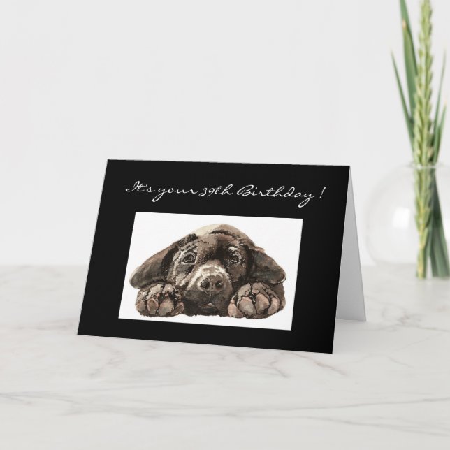 Funny 39th Birthday, Labrador Retriever Card (Front)