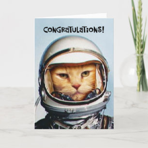 Funny 43rd Anniversary Card