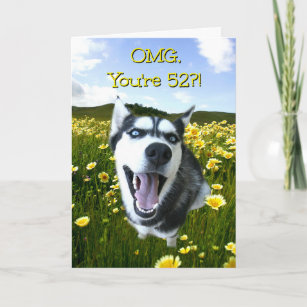 Funny 52nd  Birthday With Cute Husky Dog Card