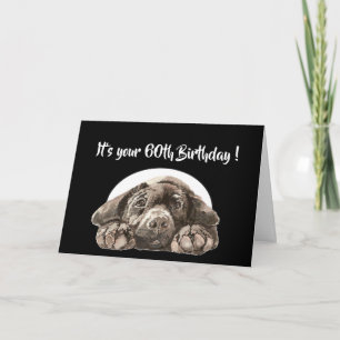 Funny 60th Birthday, Labrador Retriever Card