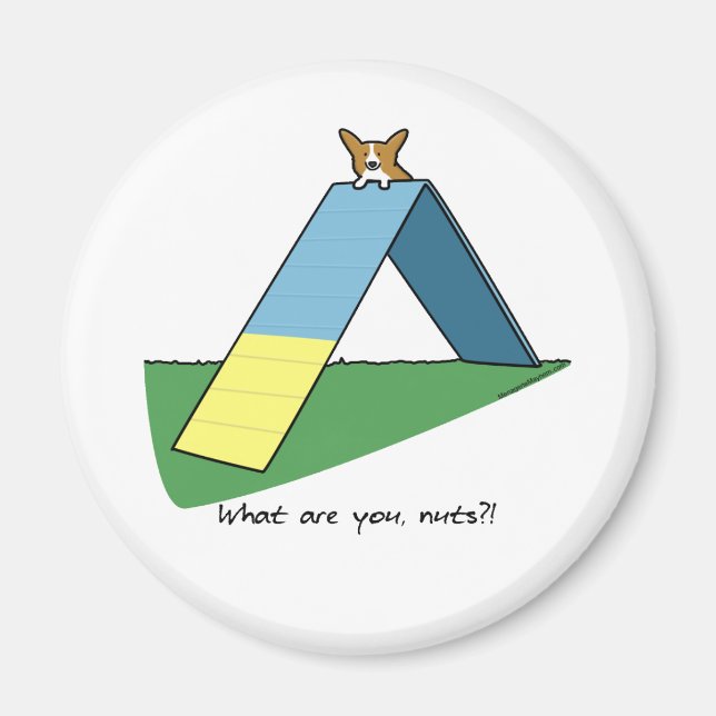 Funny A-Frame Corgi Agility Magnet (Front)