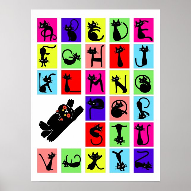 Funny ABC Black Cat Alphabet Poster (Front)