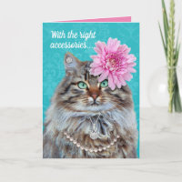 Funny Accessorized Cat–No One Will Notice Whiskers