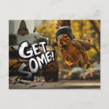 Funny Action Squirrel Postcard "Get Some"