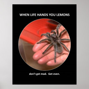 Funny Advice Don't Get Mad Get Even Poster