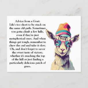 Funny Advice From A Goat Postcard