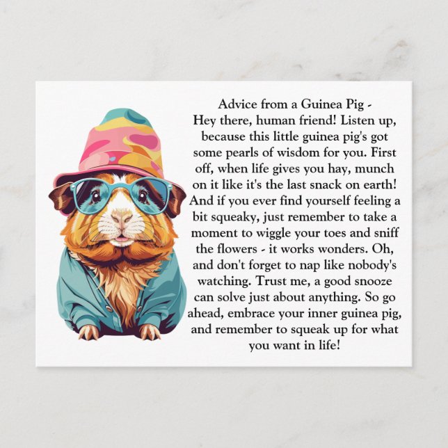 Funny Advice From A Guinea Pig Postcard (Front)