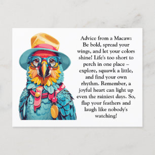 Funny Advice From A Macaw Postcard