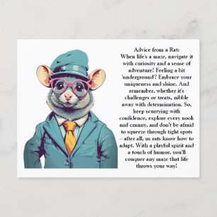 Funny Advice From A Rat Postcard