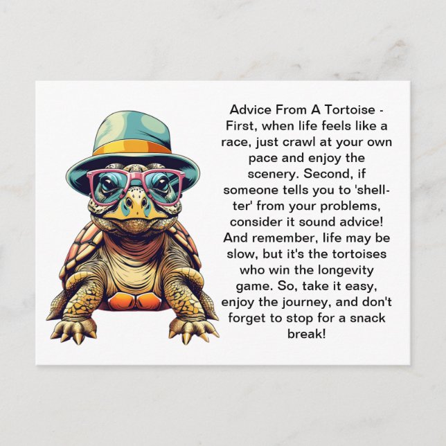 Funny Advice From A Tortoise Postcard (Front)