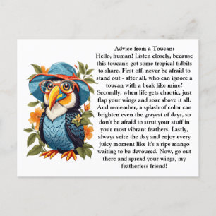 Funny Advice From A Toucan Postcard