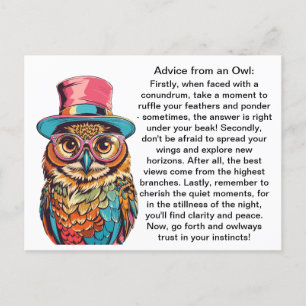 Funny Advice From An Owl Postcard