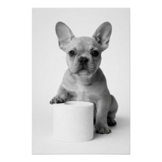 Funny Aesthetic French Bulldog Toilet Paper Photo Poster