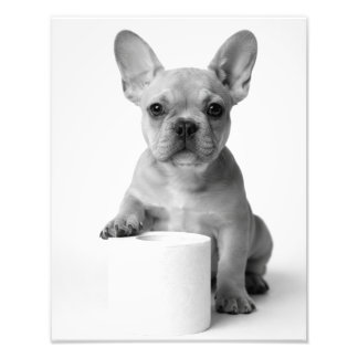 Funny Aesthetic French Bulldog Toilet Paper Photo Print