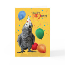Funny African Grey Parrot Birthday Humour