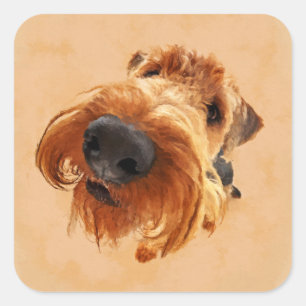 Funny Airedale Terrier Square Sticker