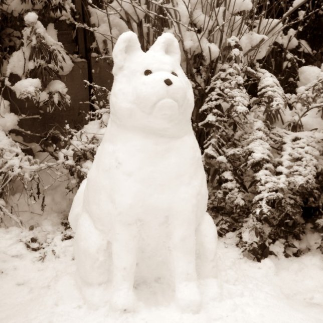 funny akita snowman scenic snow scene christmas holiday card (Creator Uploaded)