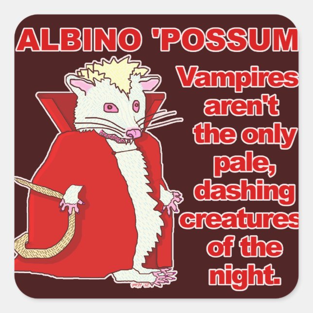 Funny Albino Possum Vampire Animal Square Sticker (Front)