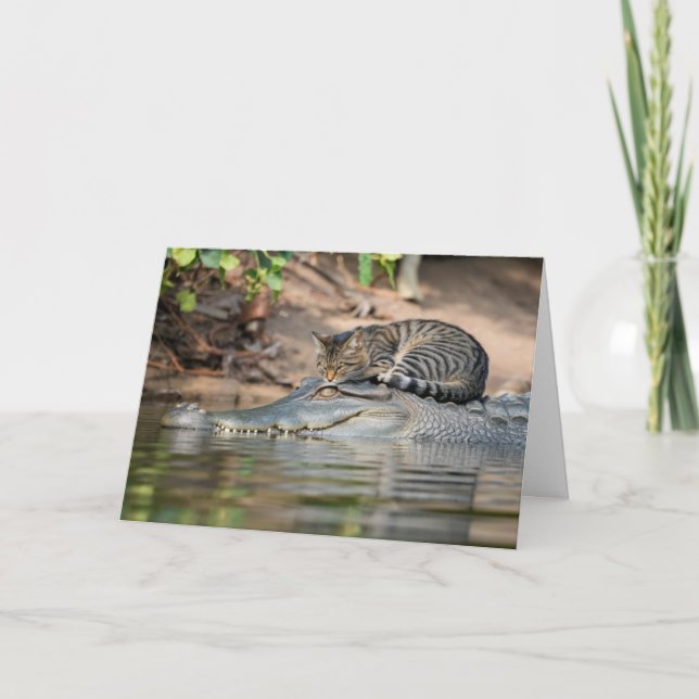 Funny Alligator Cat Nap Card (Front)