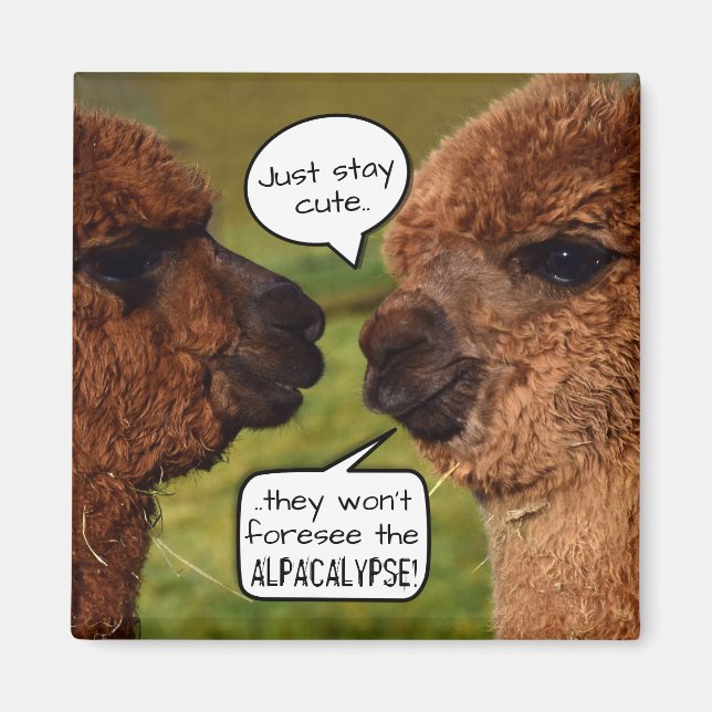Funny Alpaca Alpacalypse Scheming Magnet (Front)
