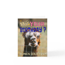 Funny Alpaca carte d'anniversaire - Animal Pun Hum