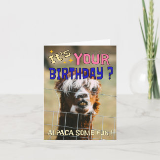 Funny Alpaca carte d'anniversaire - Animal Pun Hum