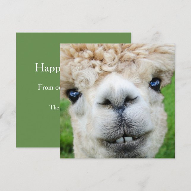 Funny Alpaca Christmas card (Front/Back)