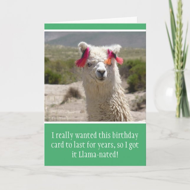 Funny Alpaca Llama Birthday Card (Front)