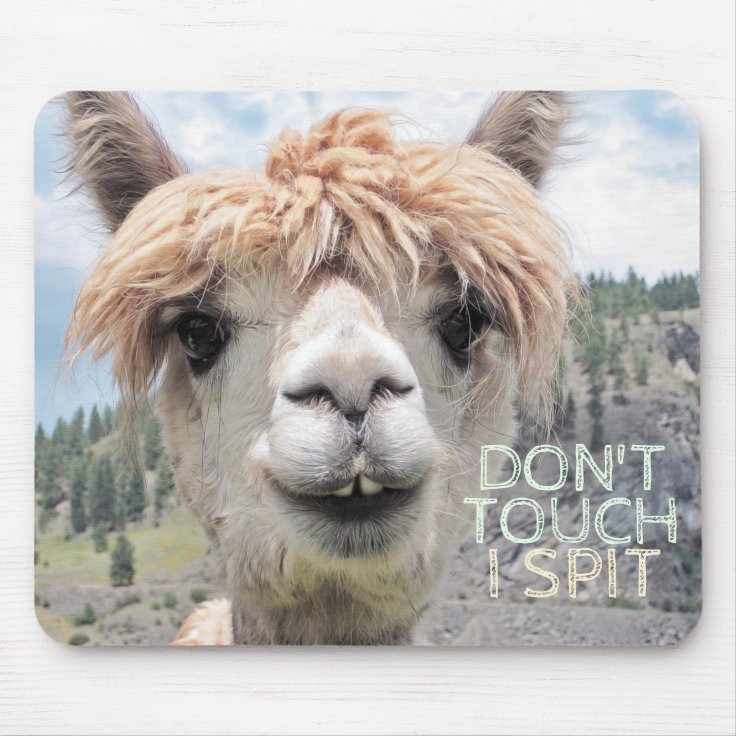 Funny Alpaca Llama Don't Touch I Spit Mouse Pad | Zazzle