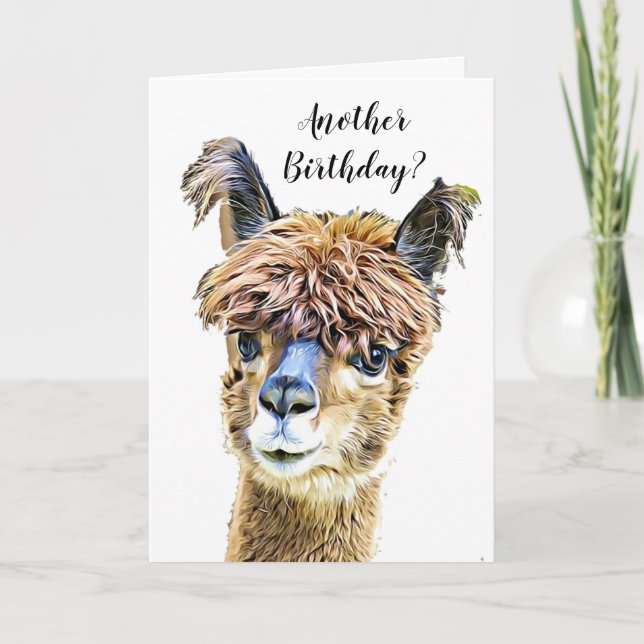 Funny Alpaca Llama Humour Birthday Card (Front)
